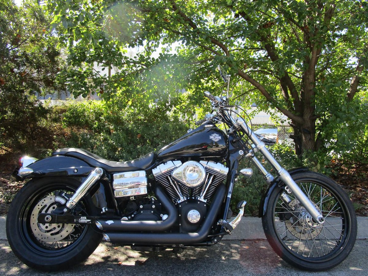 Udarac pametan usko grlo dyna super glide 2010 Emocija Plato uspješan