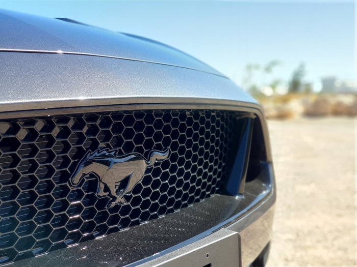 2019 Ford Mustang GT FN MY20 Grey