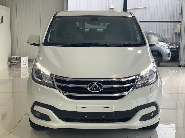 2019 LDV G10 SV7A White