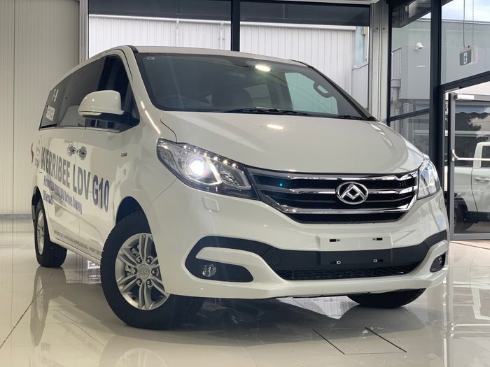 2019 LDV G10 SV7A White