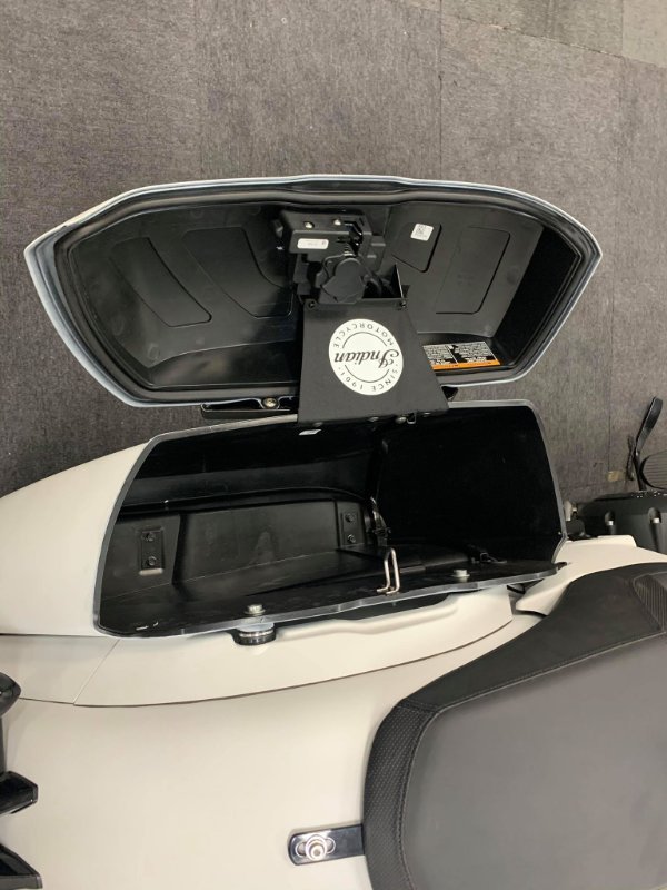 2020 Indian SPRINGFIELD DARK HORSE WHITE