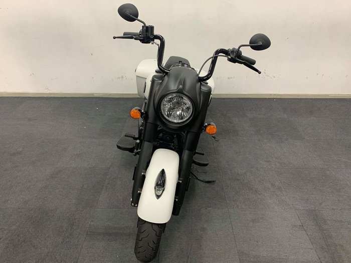 2020 Indian SPRINGFIELD DARK HORSE WHITE