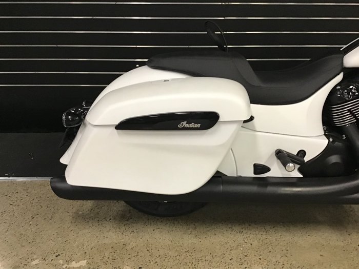 2020 Indian SPRINGFIELD DARK HORSE WHITE