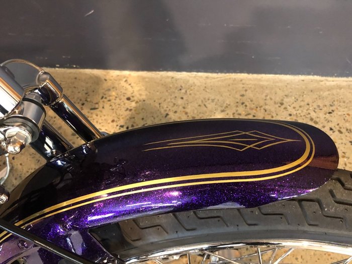 2014 Harley-davidson FLS SOFTAIL SLIM Purple