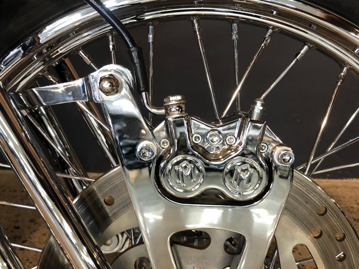 2014 Harley-davidson FLS SOFTAIL SLIM Purple