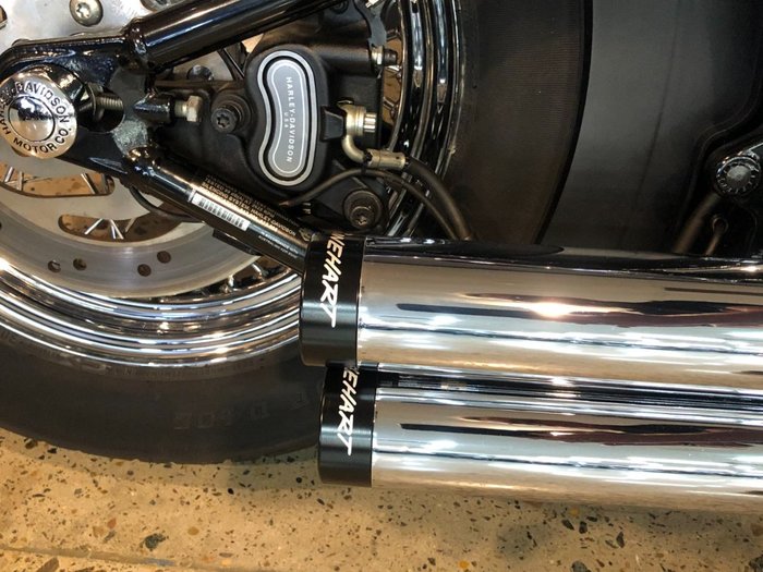 2014 Harley-davidson FLS SOFTAIL SLIM Purple