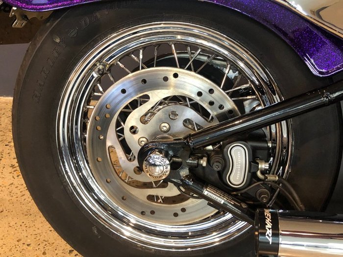 2014 Harley-davidson FLS SOFTAIL SLIM Purple