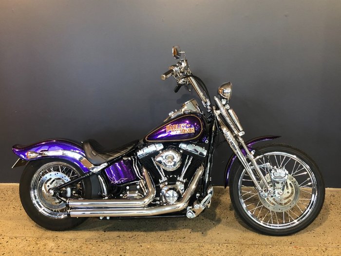 2014 Harley-davidson FLS SOFTAIL SLIM Purple