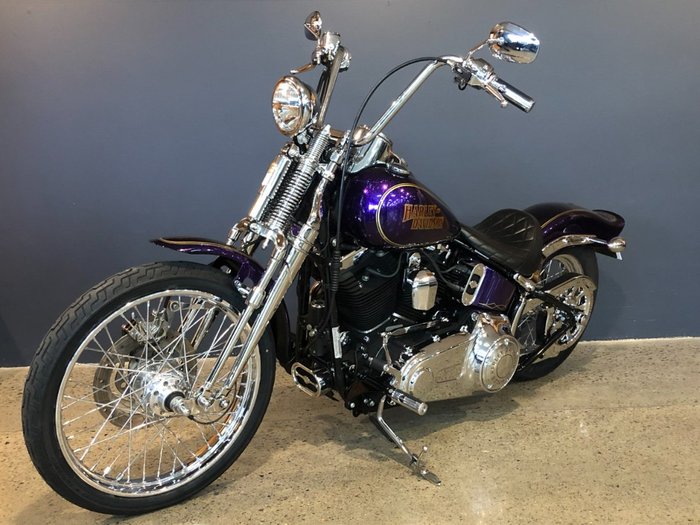 2014 Harley-davidson FLS SOFTAIL SLIM Purple