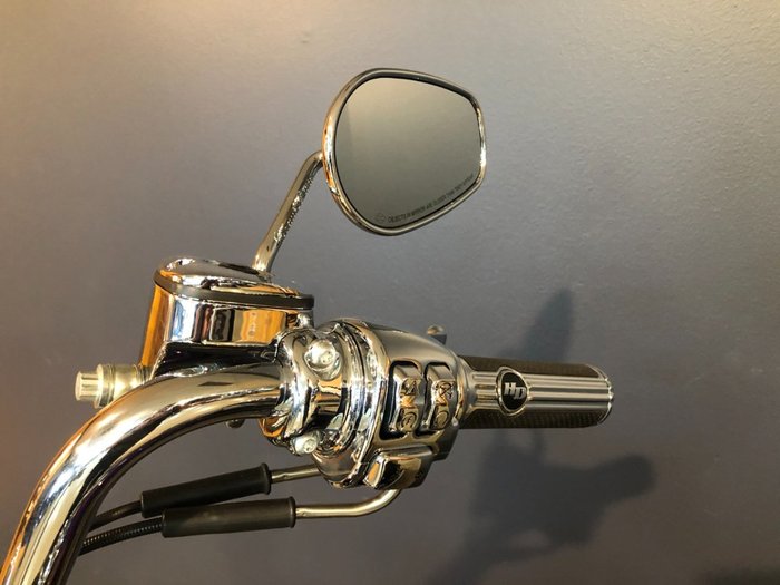 2014 Harley-davidson FLS SOFTAIL SLIM Purple