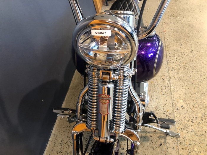 2014 Harley-davidson FLS SOFTAIL SLIM Purple