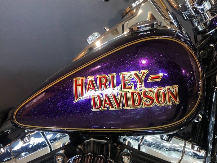 2014 Harley-davidson FLS SOFTAIL SLIM Purple