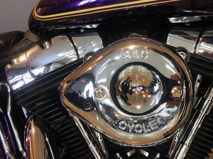 2014 Harley-davidson FLS SOFTAIL SLIM Purple