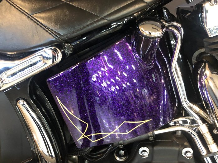 2014 Harley-davidson FLS SOFTAIL SLIM Purple