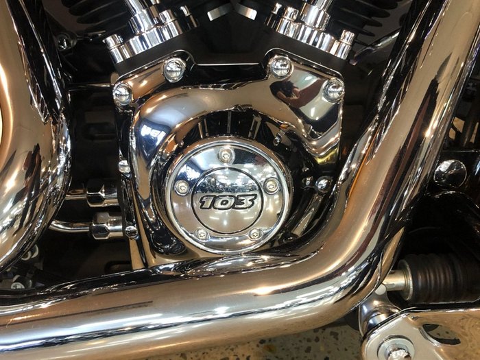 2014 Harley-davidson FLS SOFTAIL SLIM Purple