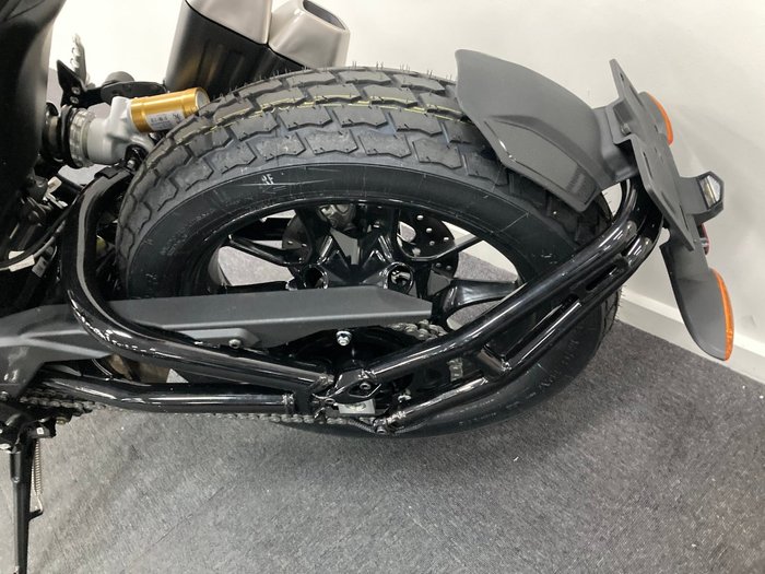 2019 Indian FTR 1200 S (RED STEEL GRAY) Red