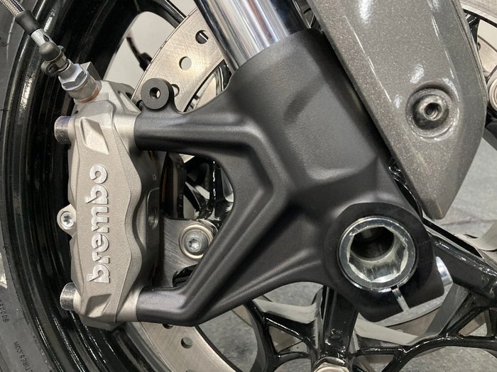 2019 Indian FTR 1200 S (RED STEEL GRAY) Red