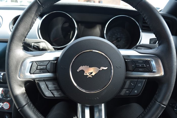 2017 Ford Mustang GT FM MY17 Silver