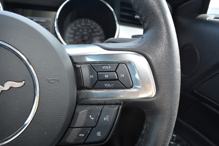 2017 Ford Mustang GT FM MY17 Silver