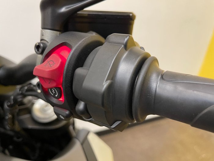 2019 DUCATI DIAVEL 1260 (SANDSTONE GREY) Grey