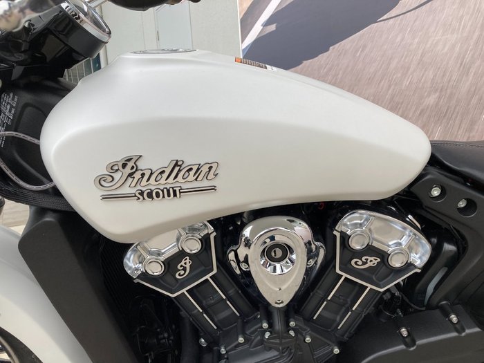 2021 Indian SCOUT WHITE SMOKE White