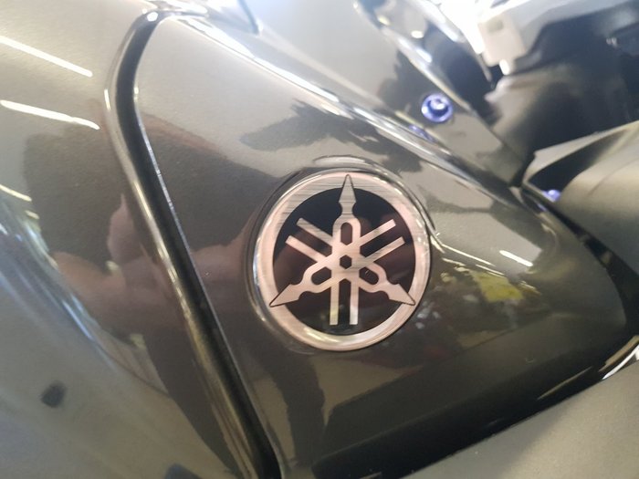 2008 Yamaha FZ1S Grey