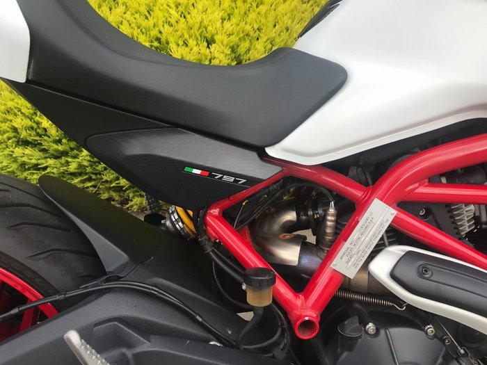 2018 DUCATI MONSTER 797 STAR WHITE-DARK ST White