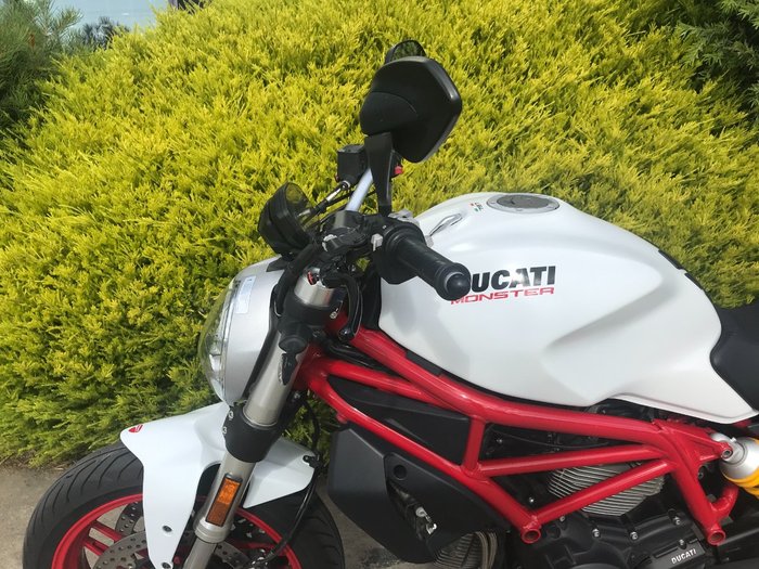 2018 DUCATI MONSTER 797 STAR WHITE-DARK ST White