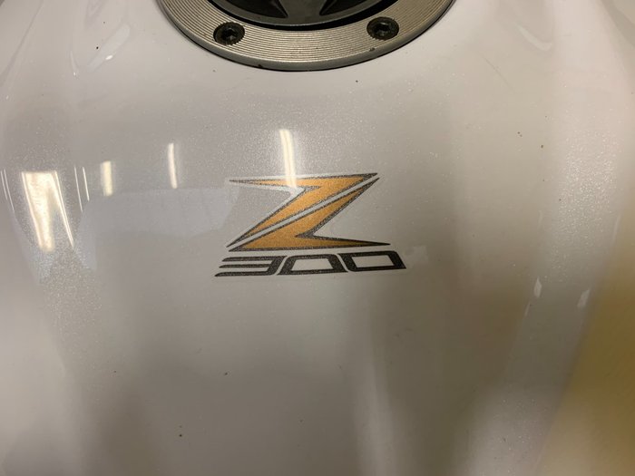 2016 Kawasaki Z300 ABS SE (LAMS)