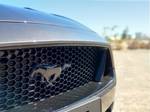2019 Ford Mustang GT FN MY20 Grey