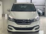 2019 LDV G10 SV7A White
