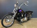 2014 Harley-davidson FLS SOFTAIL SLIM Purple