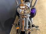 2014 Harley-davidson FLS SOFTAIL SLIM Purple