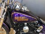 2014 Harley-davidson FLS SOFTAIL SLIM Purple