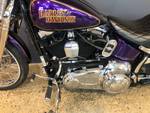 2014 Harley-davidson FLS SOFTAIL SLIM Purple