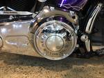2014 Harley-davidson FLS SOFTAIL SLIM Purple