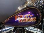 2014 Harley-davidson FLS SOFTAIL SLIM Purple