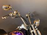 2014 Harley-davidson FLS SOFTAIL SLIM Purple