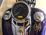 2014 Harley-davidson FLS SOFTAIL SLIM Purple