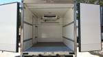 2020 HINO 300 SERIES 616 IFS AUTO FRIDGE TRUCK null null White