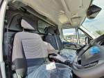 2020 IVECO 50C21 205HP AUTO 12M VAN - IN STOCK NOW! null null white