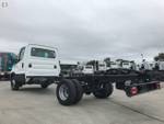 2020 IVECO DAILY 70C17 CAB CHASSIS 4350MM WB null null white