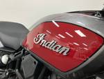 2019 Indian FTR 1200 S (RED STEEL GRAY) Red