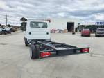 2020 IVECO 50C21 205HP & AUTO 3750MM WHEELBASE white