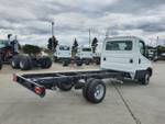 2020 IVECO 50C21 205HP & AUTO 3750MM WHEELBASE white