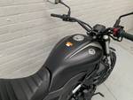 2020 Benelli 502C Black