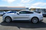 2017 Ford Mustang GT FM MY17 Silver