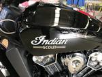 2021 Indian 2021 INDIAN 1100CC SCOUT THUNDER BLACK CRUISER Black
