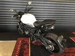 2021 Benelli 2021 Benelli 750CC 752S Road White