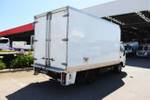 2015 HINO 300 SERIES 616 AUTO SINGLE CAB White